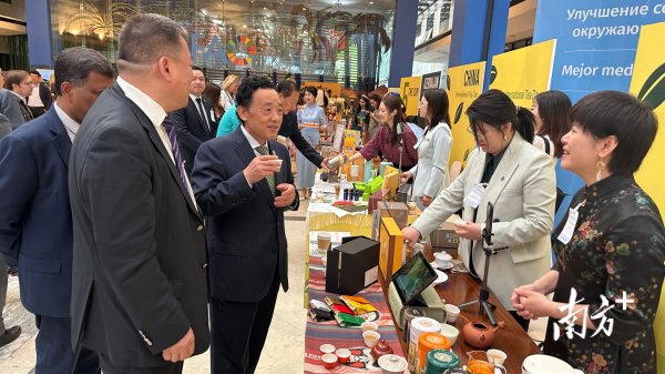 开云体育领有繁密品性优异、特质显著的茶品-开云·kaiyun体育(中国)官方网站-登录入口