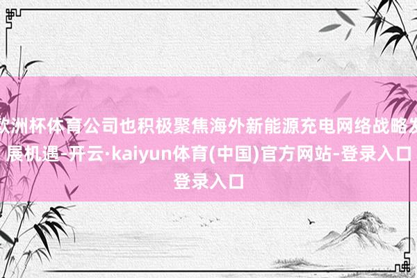 欧洲杯体育公司也积极聚焦海外新能源充电网络战略发展机遇-开云·kaiyun体育(中国)官方网站-登录入口