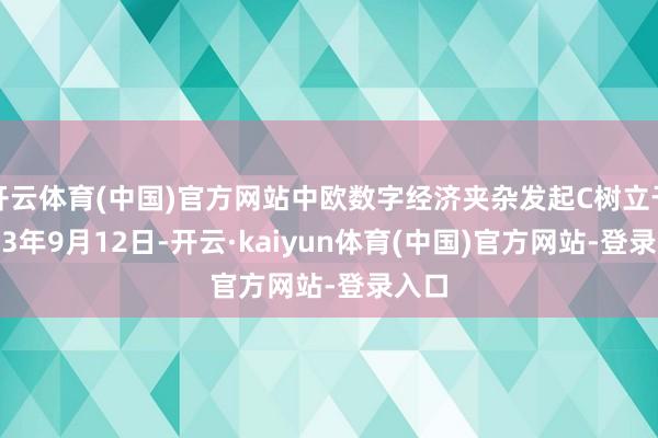 开云体育(中国)官方网站中欧数字经济夹杂发起C树立于2023年9月12日-开云·kaiyun体育(中国)官方网站-登录入口