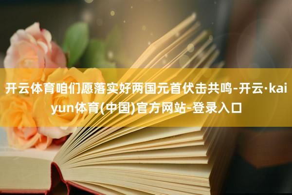 开云体育咱们愿落实好两国元首伏击共鸣-开云·kaiyun体育(中国)官方网站-登录入口