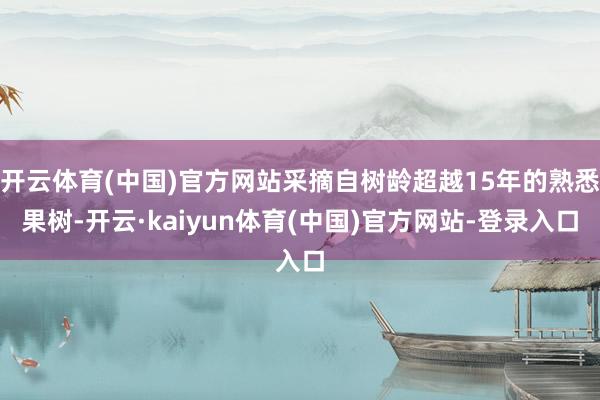 开云体育(中国)官方网站采摘自树龄超越15年的熟悉果树-开云·kaiyun体育(中国)官方网站-登录入口